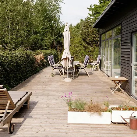 Architect Design With Nature's Touch In Forest