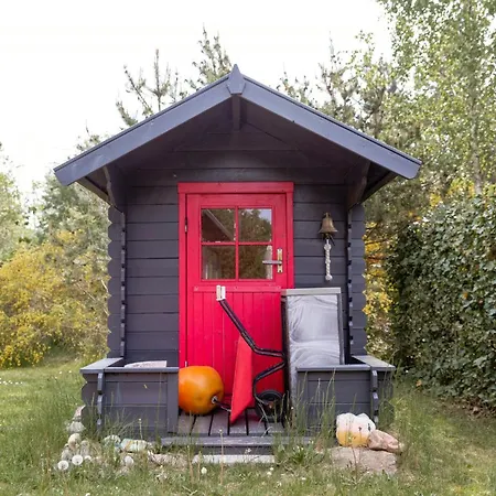 Architect Design With Nature's Touch In Forest