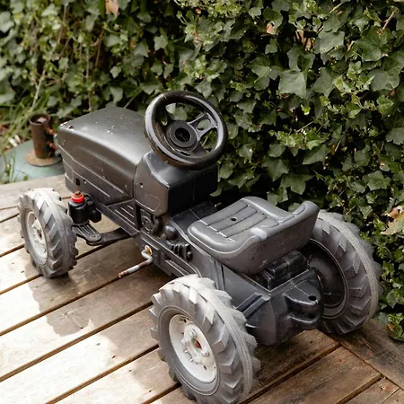 Architect Design With Nature's Touch In Forest *