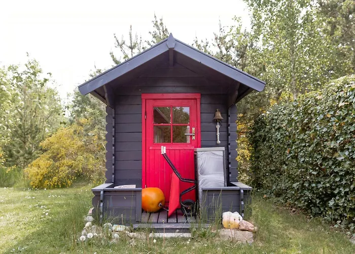 Architect Design With Nature's Touch In Forest